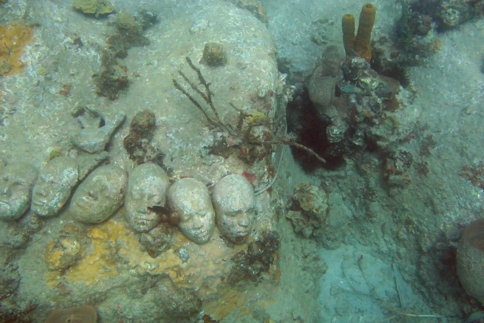Cast faces of Grenadian students set into the reef, TAMCC project, Underwater Sculpture Park