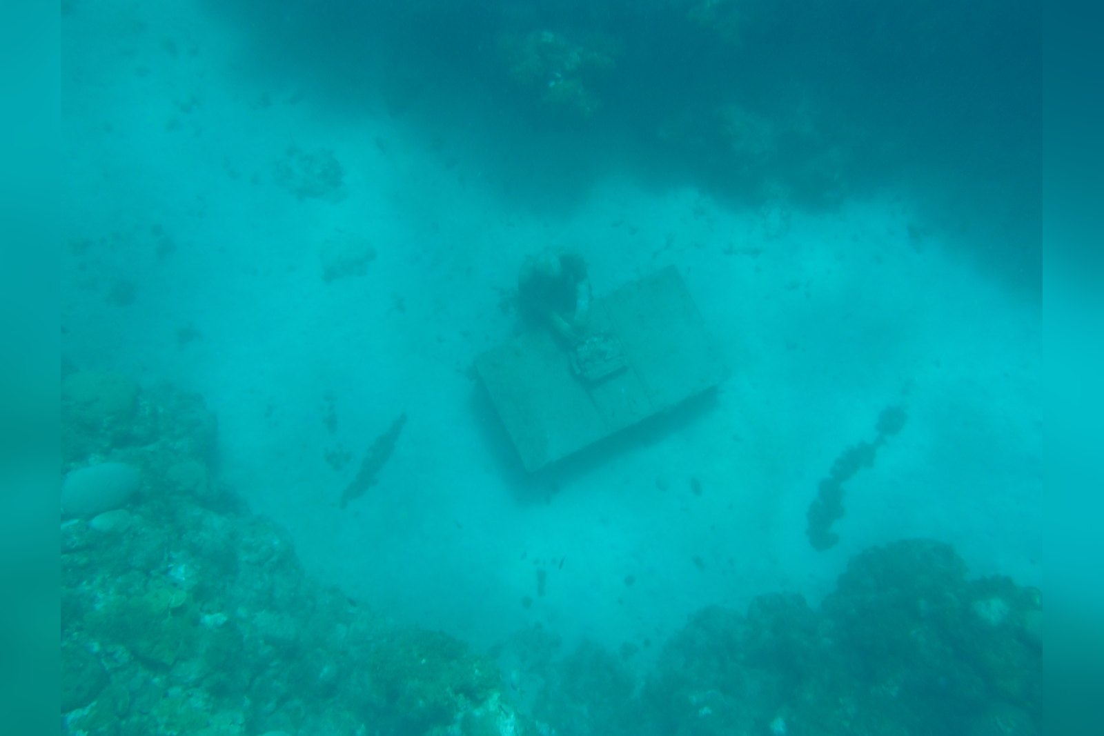 Wide view of the Molinière Bay Underwater Sculpture Park, Grenada, sculptures scattered across the reef floor